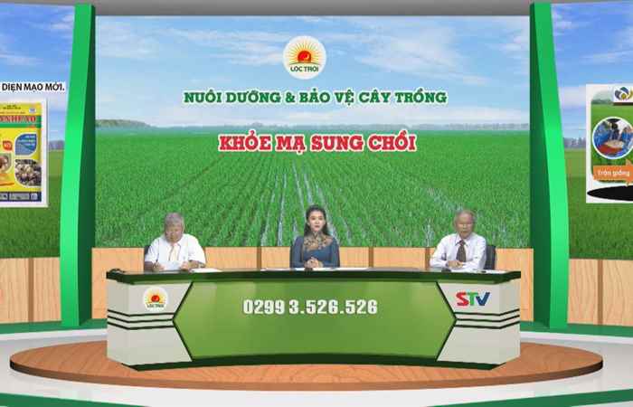 Chương trình tọa đàm - Khoẻ mạ sung chồi 11-05-2017