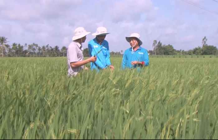 Chương trình tọa đàm Lộc Trời - Cứng cây chắc hạt 10-08-2017