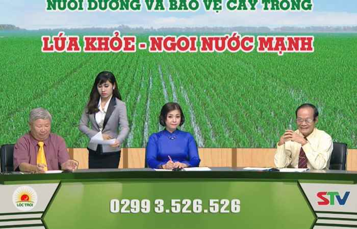 Chương trình tọa đàm lộc Trời - Lúa khỏe ngoi nước mạnh 05-10-2017