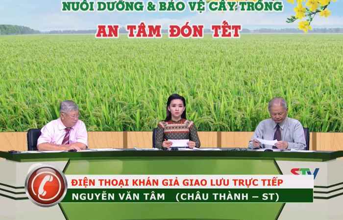 Chương trình tọa đàm Nuôi dưỡng và Bảo vệ cây trồng An tâm đón tết 08-02-2018