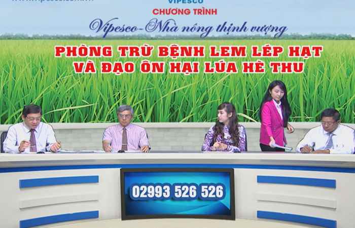Tọa đàm "Phòng trừ bệnh lem lép hạt và đạo ôn hại lúa hè thu (18-07-2019)