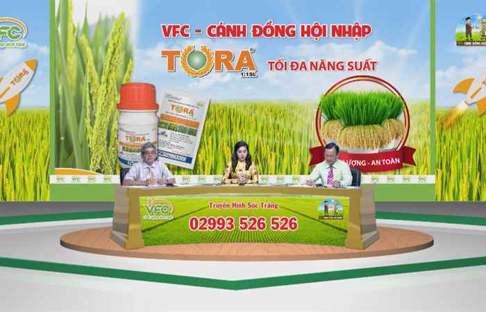 Chương trình tọa đàm VFC - Cánh đồng hội nhập Tora tối đa năng suất (26-02-2021)
