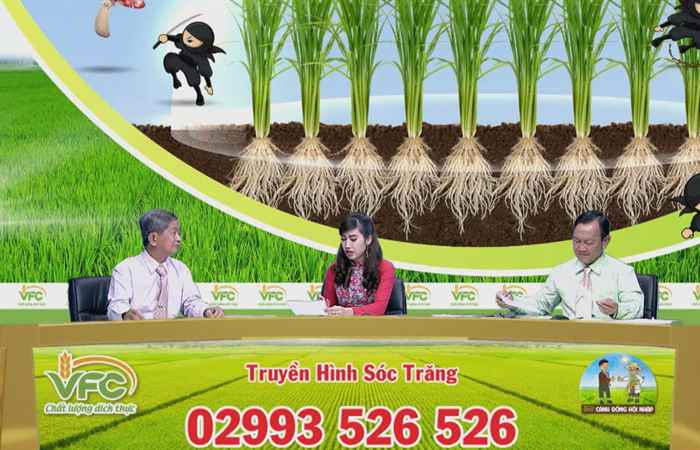 Chương trình tọa đàm VFC cánh đồng hội nhập Ninja lá chắn thép Xantocin 40WP vi khuẩn khỏi lo (28-02-2021)