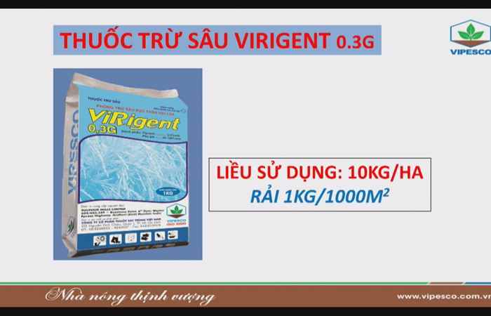 Chương trình tọa đàm Vipesco Phòng trừ bệnh lúa hè thu 28-06-2018