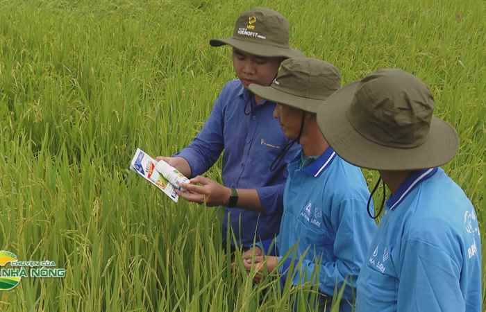 Chuyện của Nhà nông (31-08-2022)