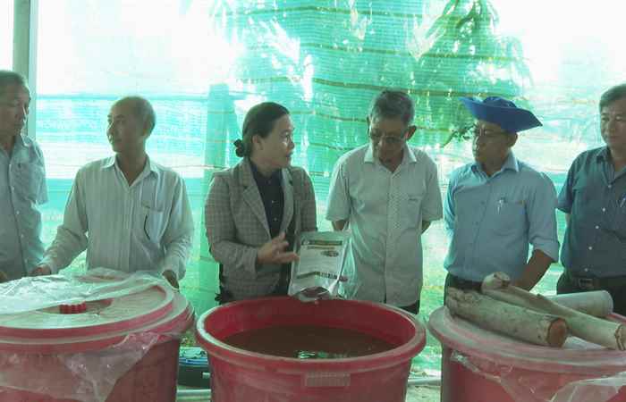 Giải pháp an toàn sinh học trong nuôi tôm nước lợ (10-09-2024) 