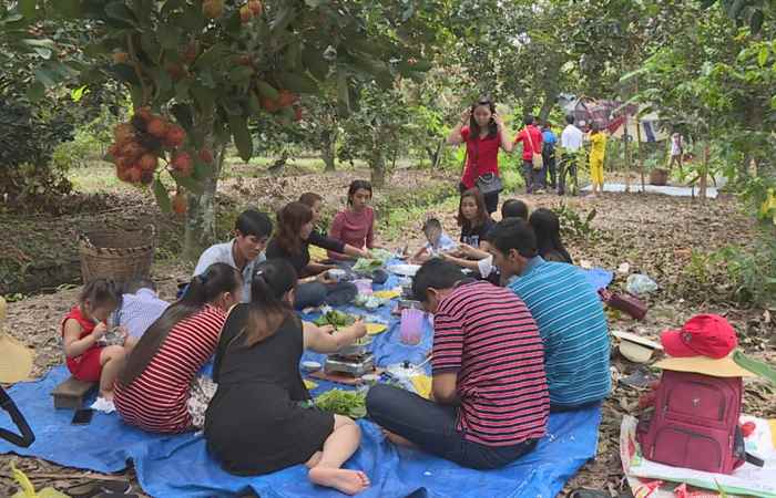 Chuyện làm vườn của người cử nhân 