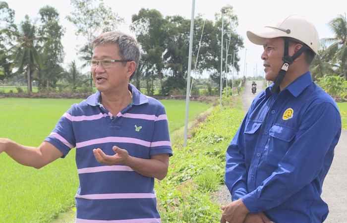 Chuyên mục 2 Phong - Hiệu quả sử dụng phân bón 2 Phong cho lúa hè thu 2020 (17-07-2020)