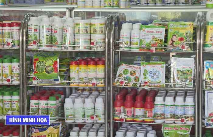 Chuyên mục 389 (11-06-2020)