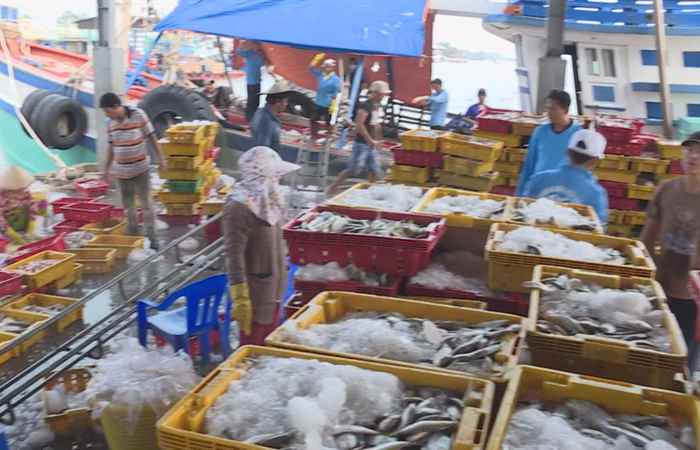 Chuyên mục: Biển đảo Quê hương (02-03-2022)
