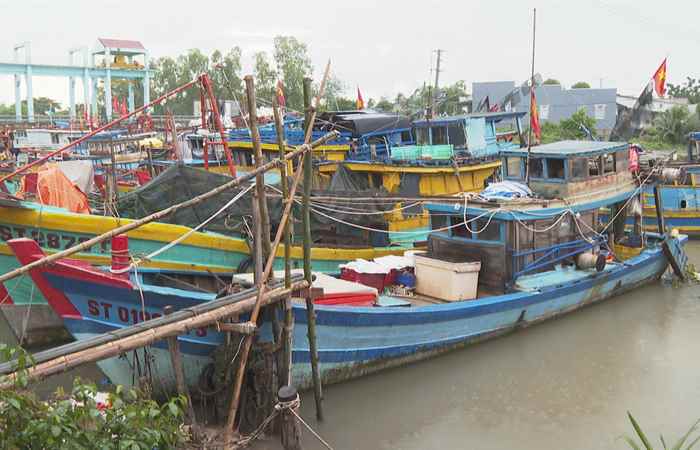 Chuyên mục: Biển đảo quê hương (06-07-2022)