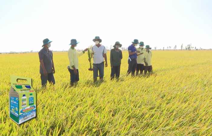 Chuyên mục Cây khỏe - Nhà nông khỏe (22-01-2022)