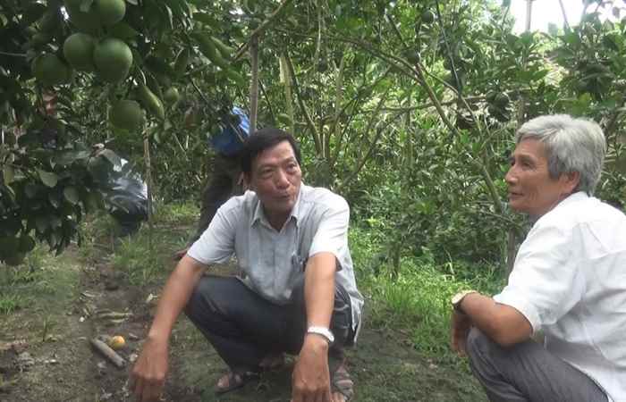 Chuyên mục Cựu chiến binh 16-10-2019