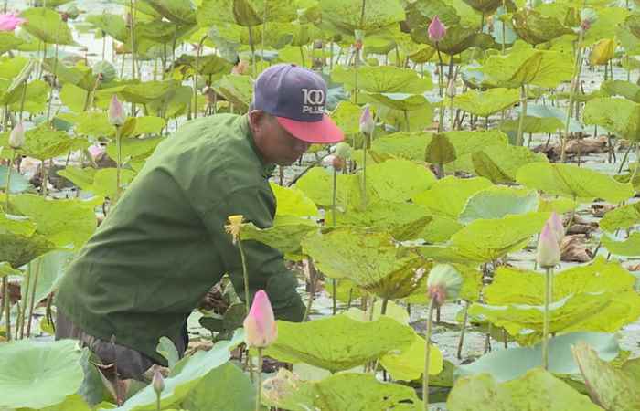 Chuyên mục Cựu chiến binh - Nghị lực của “Người Lính Cụ Hồ”  ở xã Long Hưng (18-12-2020)