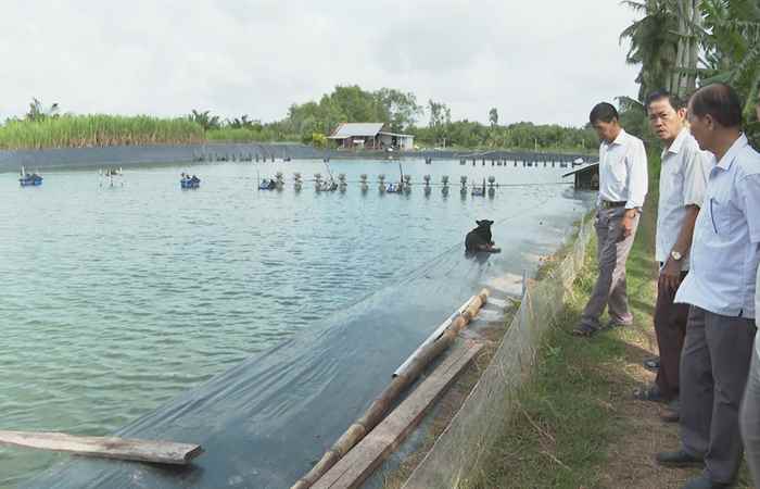 Gương sáng cựu chiến binh vượt khó thoát nghèo (25-08-2023)