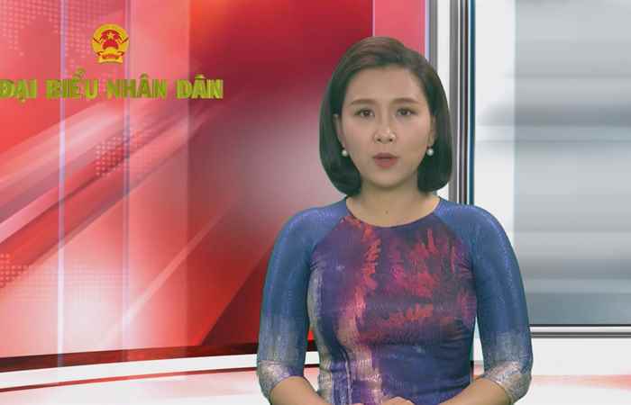 Chuyên mục Đại biểu nhân dân - Luật bầu cử đại biểu Quốc hội và đại biểu Hội đồng nhân dân (tiếp theo) (17-02-2021)