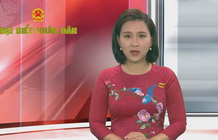 Chuyên mục Đại biểu nhân dân - Luật Bầu cử đại biểu Quốc hội và đại biểu Hội đồng nhân dân (08-02-2021)