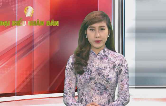 Chuyên mục Đại biểu Nhân dân Luật bầu cử đại biểu Quốc hội và đại biểu Hội đồng nhân dân (tiếp theo) (17-03-2021)