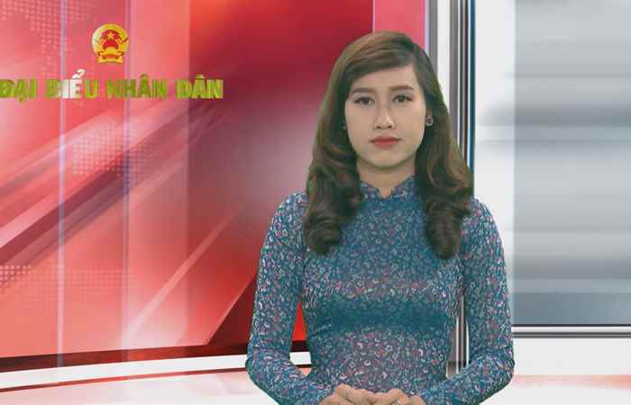 Chuyên mục Đại biểu nhân dân - Luật bầu cử đại biểu Quốc hội và đại biểu Hội đồng nhân dân (tiếp theo) (15-02-2021)