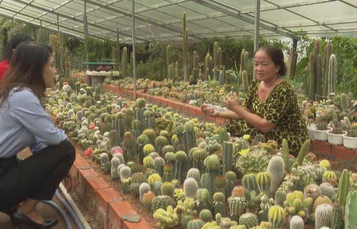  Chuyên mục: Phụ nữ Sóc Trăng (10-10-2022)