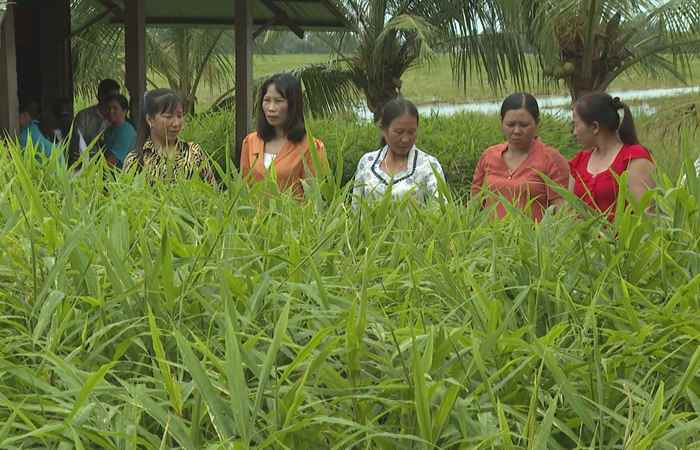 Chuyên mục: Phụ nữ Sóc Trăng (12-09-2022)
