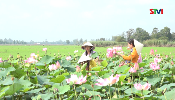 Nét Việt - Con gái Miền tây 02-09-2016