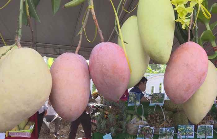 Cồn Mỹ Phước tưng bừng ngày hội sông nước miệt vườn