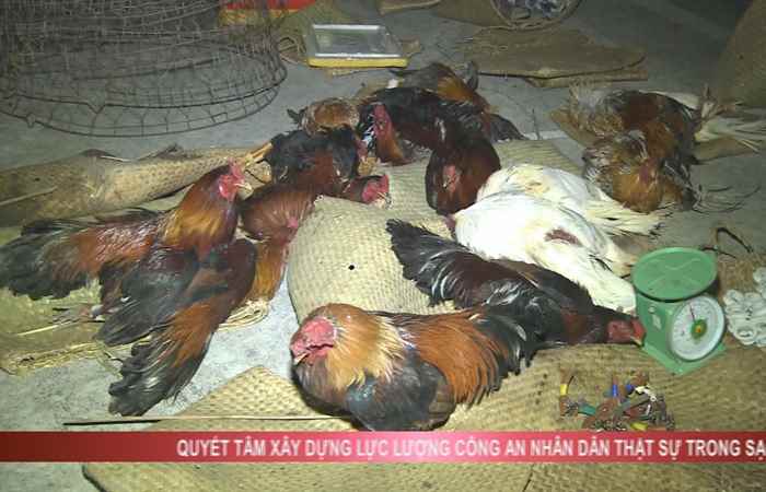 Chuyên mục: An ninh Sóc Trăng (21-07-2024)