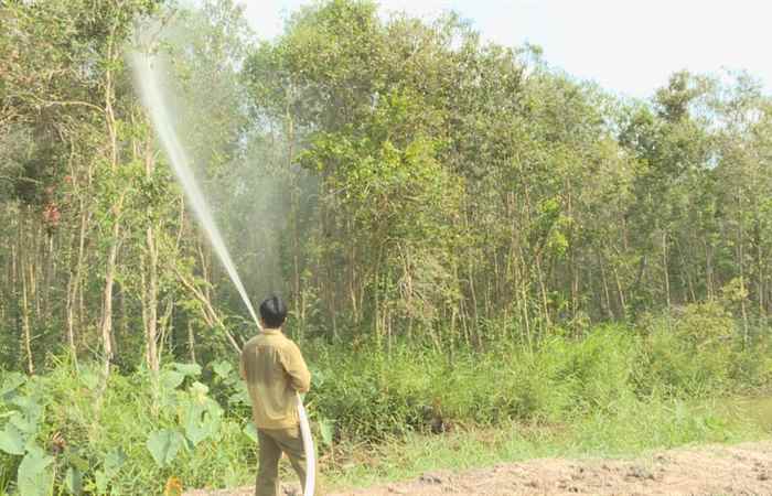 Công tác phòng chống cháy rừng mùa khô