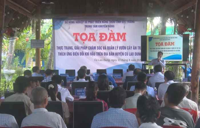 Cù Lao Dung: Tọa đàm thực trạng và giải pháp canh tác cây ăn trái thích ứng với biến đổi khí hậu