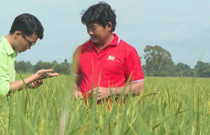  Cùng nông dân hội nhập - Vươn tới thành công (15-09-2023)