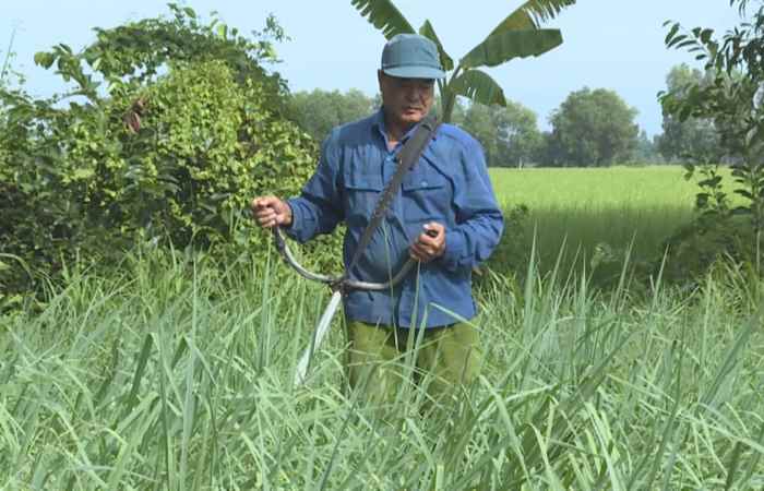 Cựu chiến binh (16-10-2020)