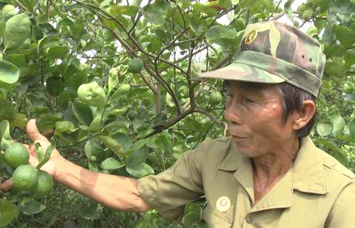 Cựu chiến binh (23-04-2021)