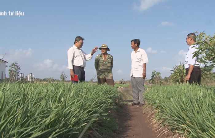 Cựu chiến binh (24-09-2021)