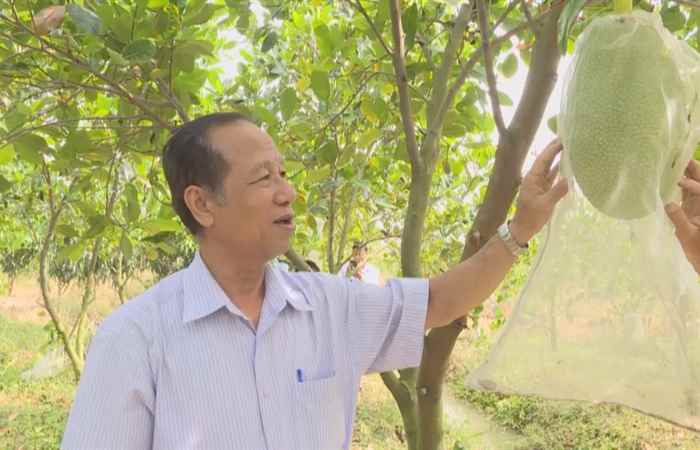 Cựu chiến binh (26-03-2021)