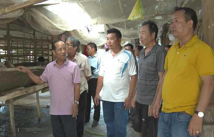 Từ hộ chăn nuôi thoát nghèo đến mô hình kinh tế hiệu quả (26-05-2023)
 