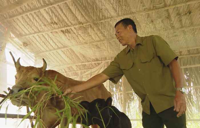 Cựu Chiến binh Lê Hữu Nghĩa phấn đấu hoàn thành xuất sắc công tác Hội (22-9-2023)