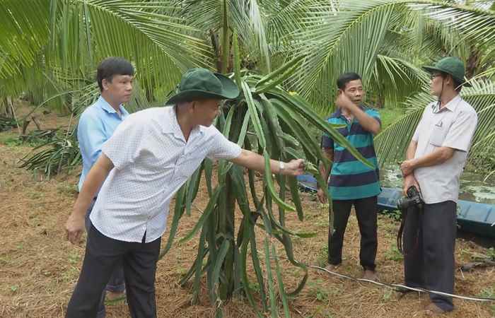 Thành tựu gắn với vai trò tiêu biểu của hội viên Cựu Chiến binh (02-05-2024)