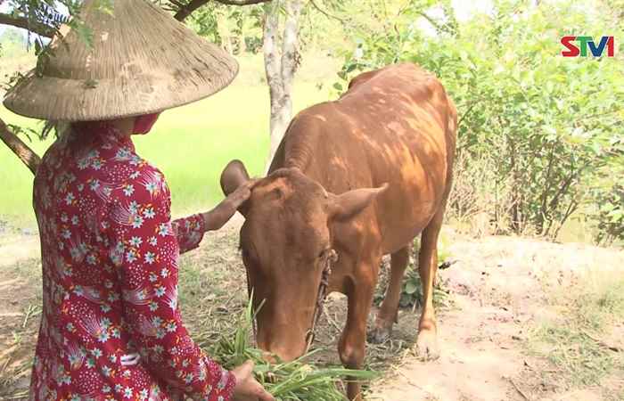 Dân tộc và phát triển 19-05-2018
