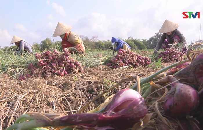 Dân tộc và phát triển 20-01-2018