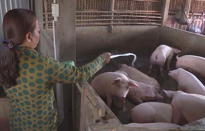 Dân tộc và phát triển (22-04-2020)