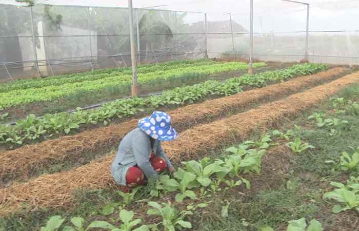 Dân tộc và phát triển 22-07-2020