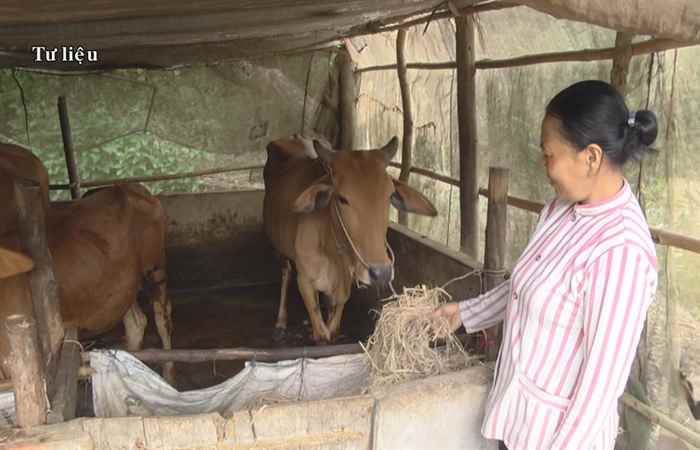 Dân tộc và phát triển (28-07-2021)