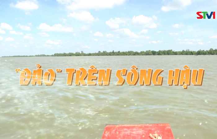 Phóng sự: Đảo trên sông Hậu 16-06-2019