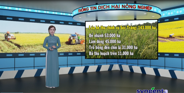 Thông tin dịch hại Nông nghiệp 03-08-2016