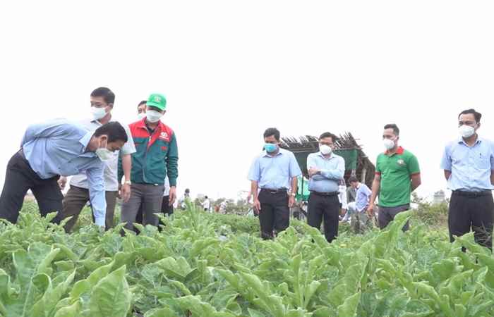 Diện mạo Nông thôn mới Trần Đề sau 12 năm thành lập huyện (16-04-2022)