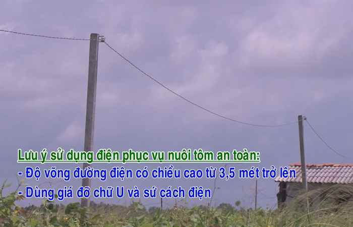 Điện và đời sống 22-10-2017