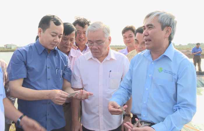 Đoàn công tác của Tỉnh ủy đến thăm và làm việc với Công ty TNHH Vĩnh Thuận ở thị xã Vĩnh Châu 