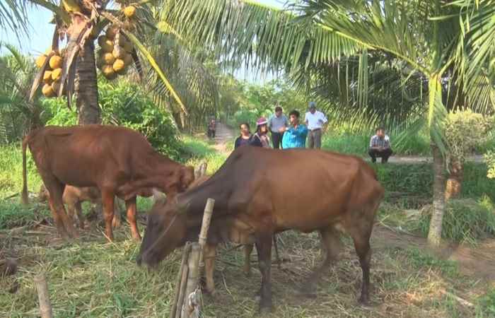  Sở KH&CN tỉnh Sóc Trăng làm việc với huyện Cù Lao Dung