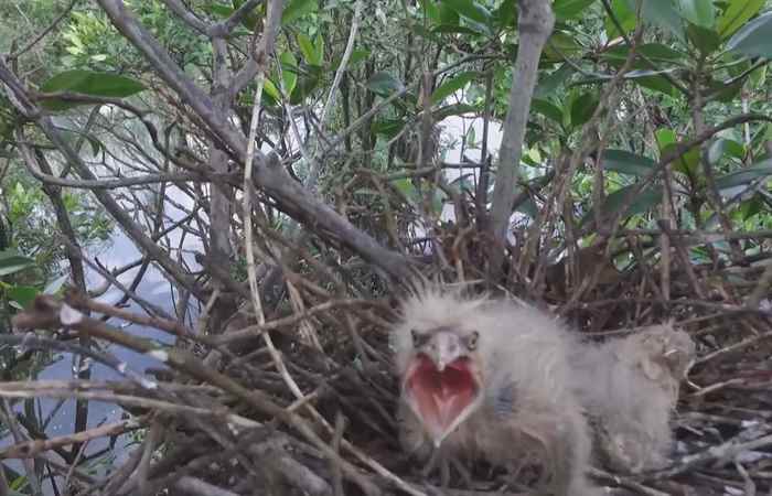 Dọc đường đất nước 17-10-2017